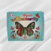 Butter Fly